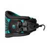 Arnes Roam V1 Ride Engine