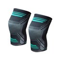 Taxi Kneepad Ride Engine LG/XL