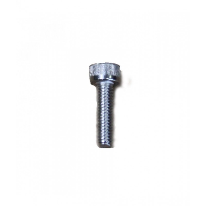 Slingshot 2014 Chicken Loop Attachment screw (4mm)