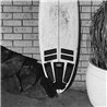 Tail Pad Surf Boomerang 4 Piezas Ocean Earth