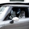 Car Seat Cover B3 Tarifa
