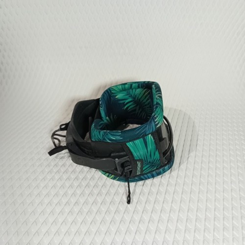 Arnes Brisa V1 M Ride Engine 2024 Segunda Mano