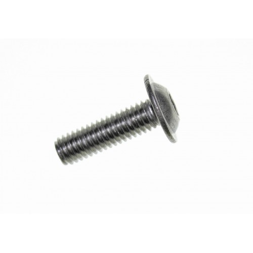 Tornillo Aleta A-2 6x20mm Allen/Poelier