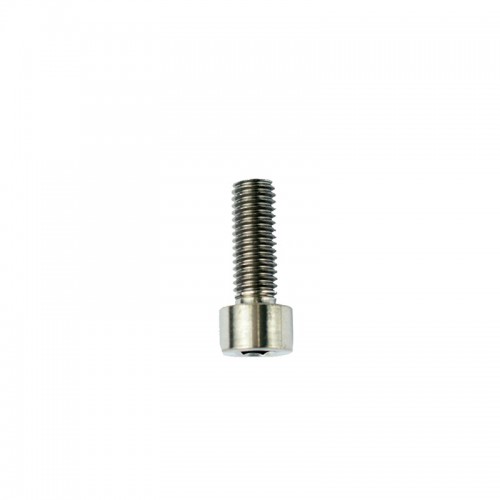 Slingshot HG M8 x 23mm Titanium Bolt