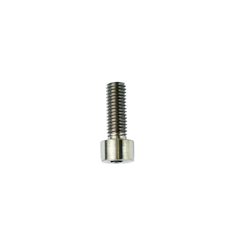 Slingshot HG M8 x 23mm Titanium Bolt