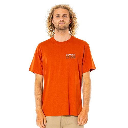 Camiseta Rip Curl Solid Rock Stacked