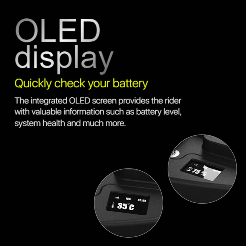 OLED Screen